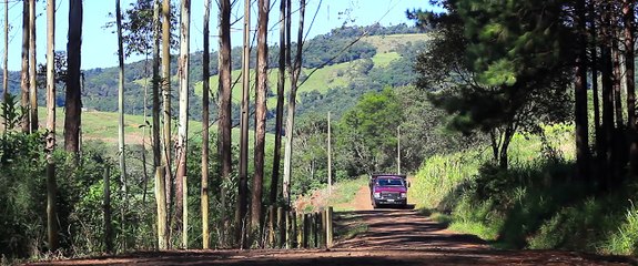 O SELVAGEM (saci-pererê)