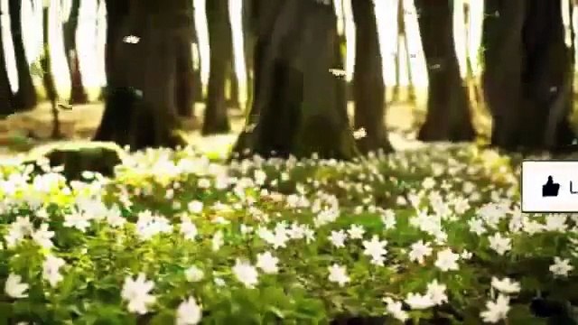 حقائق صادم ترويها نجمة الافلام الاباحية مترجم بالعربية