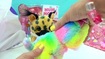 Claire's Haul - Cute Beanie Boo's, Scented Num Noms Nail Polish, Shopkins   More-2KP0XYbaAM4