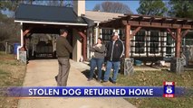 North Carolina Family Reunited with Stolen Dog Thanks to Facebook Post
