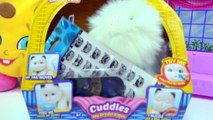 Cute Cat Little Live Pets Cuddles My Dream Kitten - Cookie Swirl C Video-NV367PBZyAk