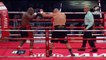 Sergey Kuzmin vs Amir Mansour (27-11-2017) Full Fight