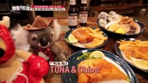 Clssy Fish & Chips in Australia! 'Sunny, you said you can't eat fish…'[Battle Trip_2017.10.22]--kc8T6VpZ4M