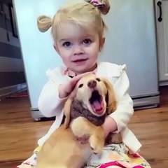 Phong kham da khoa Dai Dong - Dogs and Baby