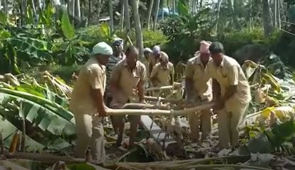 ஓகி புயல் சீரமைப்பு பணிகளில்  அரசு பணியாளர்கள்- வீடியோ