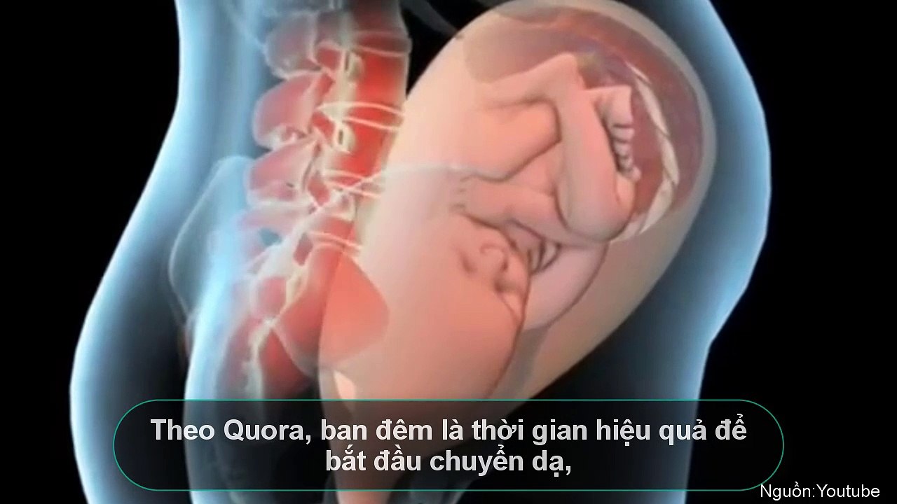 Vì sao em bé thường ra đời vào buổi tối và buổi sáng sớm?