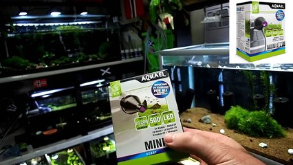 Aquael Mini UV Does it Work  -CSh8hNOvyaI