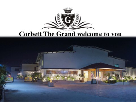 Resorts in jim corbett national park