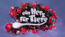 Vorsicht - Nicht lachen! Ein Herz für Tiere _ Die beste Show der Welt _ ProSieben-a1zXoy4sGZ8