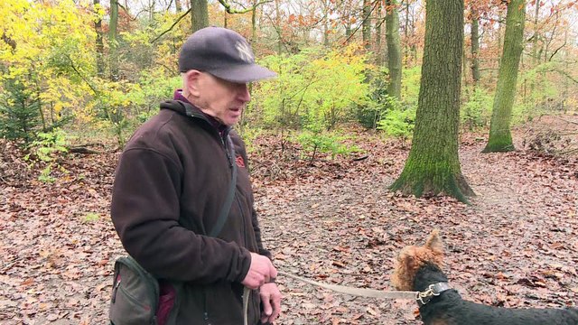Les sangliers s'incrustent à Berlin