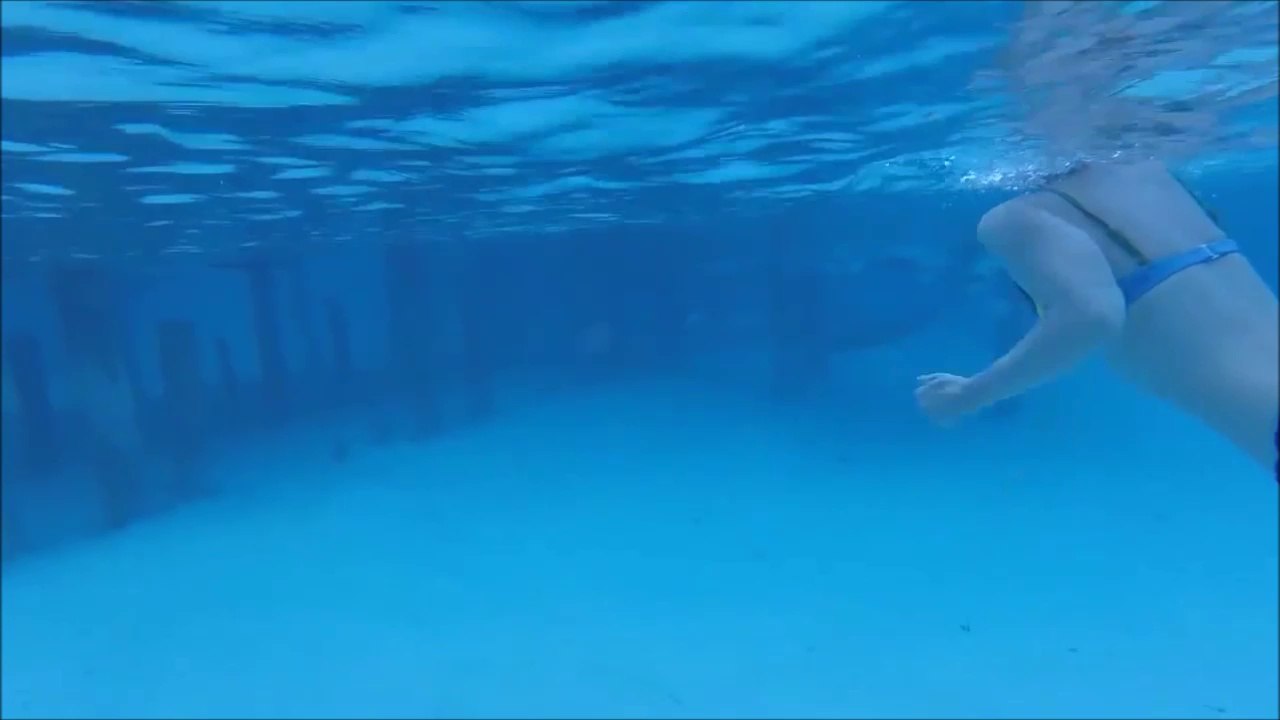 Elle se fait mordre par un requin pendant sa lune de miel...