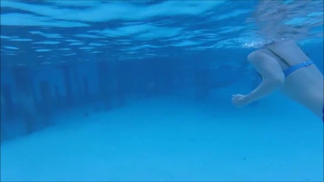 Elle se fait mordre par un requin pendant sa lune de miel...