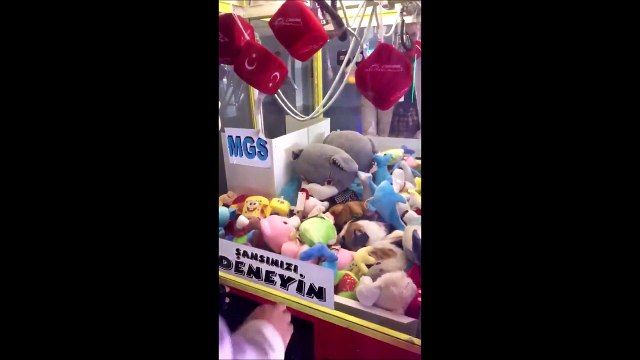 Regardez ce qui se cache dans cette machine à pince... Un vrai chat parmi les peluches