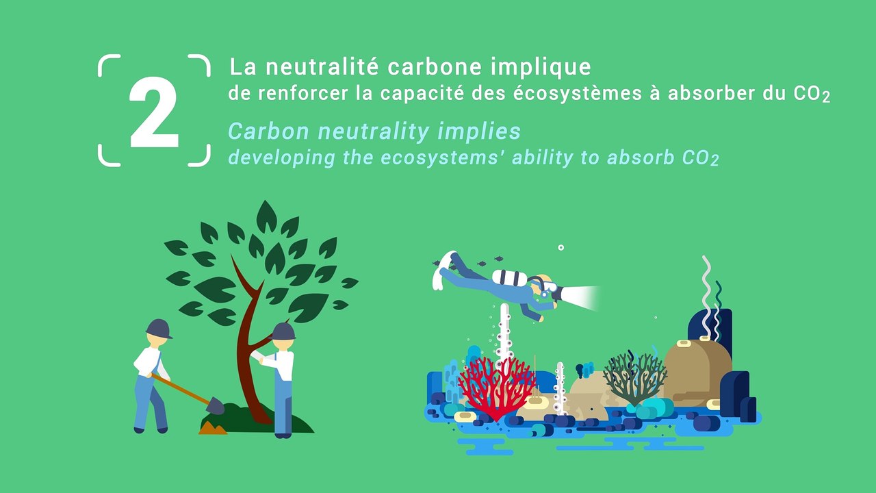 Neutralité carbone