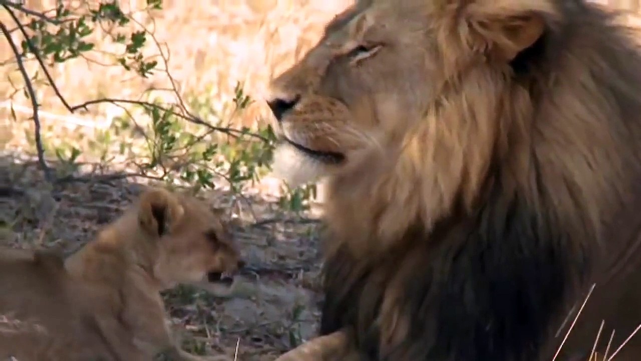 ge National Park, Zimbabwe_