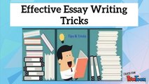 Hire Best Professional Writers for Essay Writing