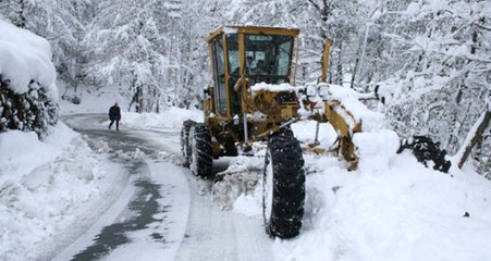 Giresun'da Halktan Destek Bulamayınca Aç Kalan Terörist, İş Makinesi Operatörüne Teslim Oldu