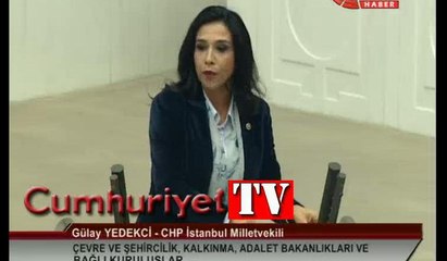 CHP'li Gülay Yedekçi'den olay yaratan bütçe konuşması