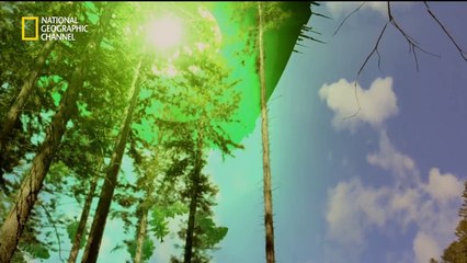 エイリアン･インベージョン 特別版