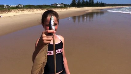 Australian girl demonstrates how to catch beach worms