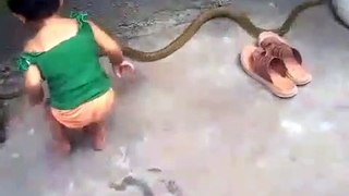 Latest Trending and Viral VIdeos 2018 || whatsapp videos || Funny baby videos