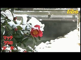 （taoyakaibs）絵本の時間マッチ売りの少女