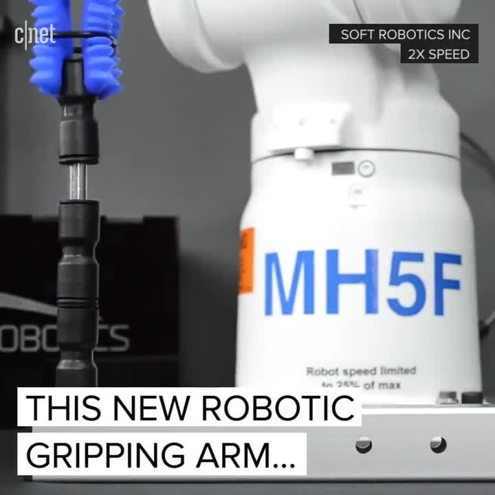Flexible Robot Arms