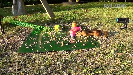 Don't Drive In Russia: Fails You Missed #19 (December 2017) | FailArmy