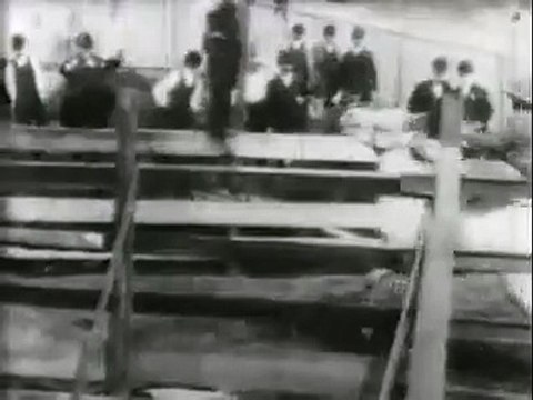 Bucking Broncho (1894)