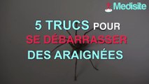 5 trucs pour se débarrasser des araignées