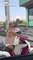 Miniature DailyMotion
