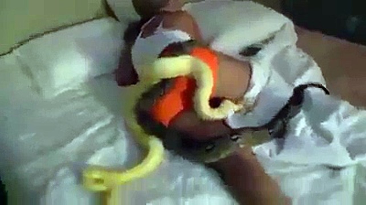 Imaginez qu'on vous jette 3 serpents de 3m dans votre lit... Cauchemardesque