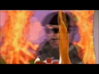 Presidents Of The United States Of America - Rot In The Sun