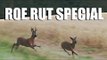Fieldsports Britain - Roebuck stalking / hunting special (episode 140)