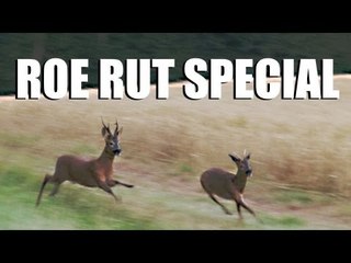 Fieldsports Britain - Roebuck stalking / hunting special (episode 140)