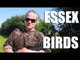 Fieldsports Britain : Shooting pigeons in Essex, and the fallow buck season starts  (episode 141)