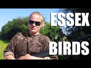 Fieldsports Britain : Shooting pigeons in Essex, and the fallow buck season starts  (episode 141)