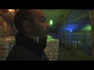 Game farm - chicks arrive