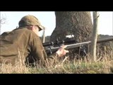 Chinese water deer stalking in Bedfordshire