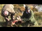 Fieldsports Britain : Stalking at Balmoral and snipe shooting in Wales (episode 5)