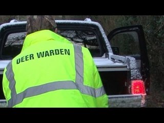 Deer warden deals with RTA