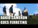 Ferreting with David Cameron