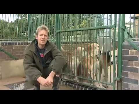 Fieldsports Britain : Hounds, first trout, and recycling cartridges (episode 7)