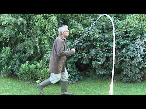 Shooting pigeons and pensioners to explain 'lead'