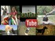 Hunting YouTube - hog hunting, match fishing and driven bird shooting