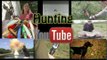 Hunting YouTube - hog hunting, match fishing and driven bird shooting