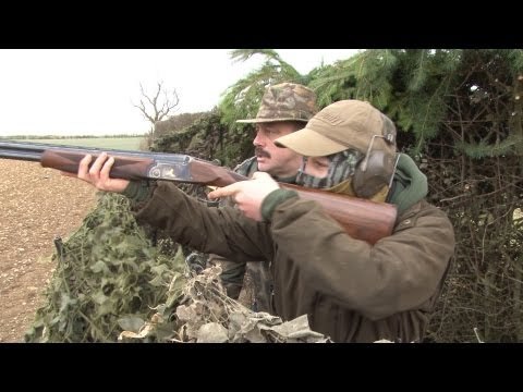 Gamekeeper's Diary star goes pigeon shooting