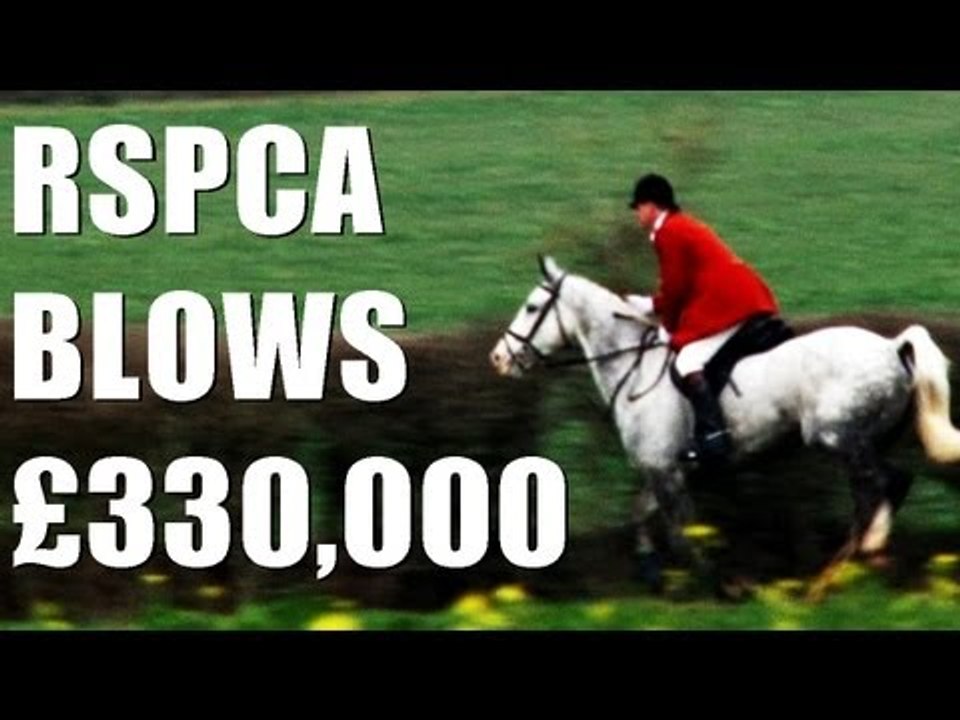Heythrop Hunt - scenting trouble