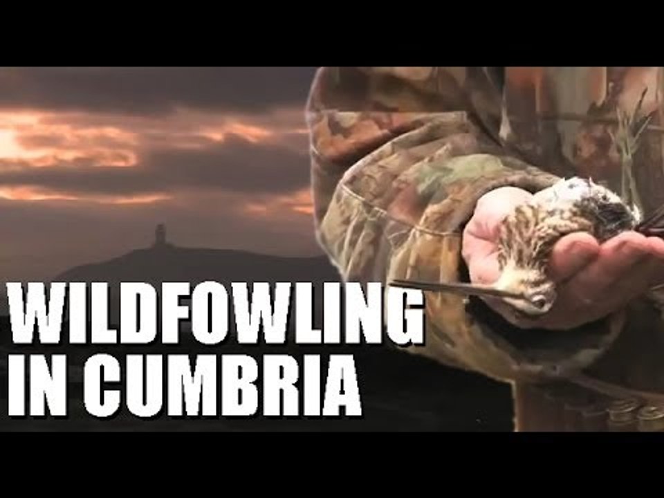 Wildfowling in Cumbria