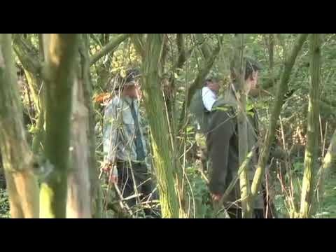 Pheasant shooting at Plumpton College in Sussex